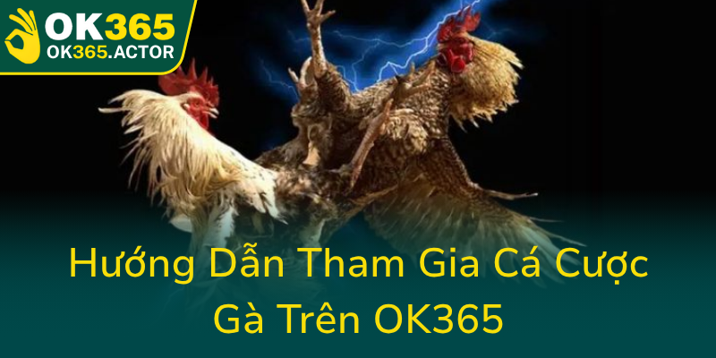 Huong Dan Tham Gia Ca Cuoc Ga Tren Ok3650