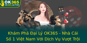 Kham Pha Ai Ly Ok365 Nha Cai So 1 Viet Nam Voi Dich Vu Vuot Troi