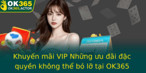 Khuyen Mai Vip Nhung Uu Ai Ac Quyen Khong The Bo Lo Tai Ok365