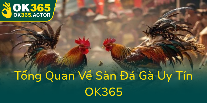 Tong Quan Ve San Da Ga Uy Tin Ok3650