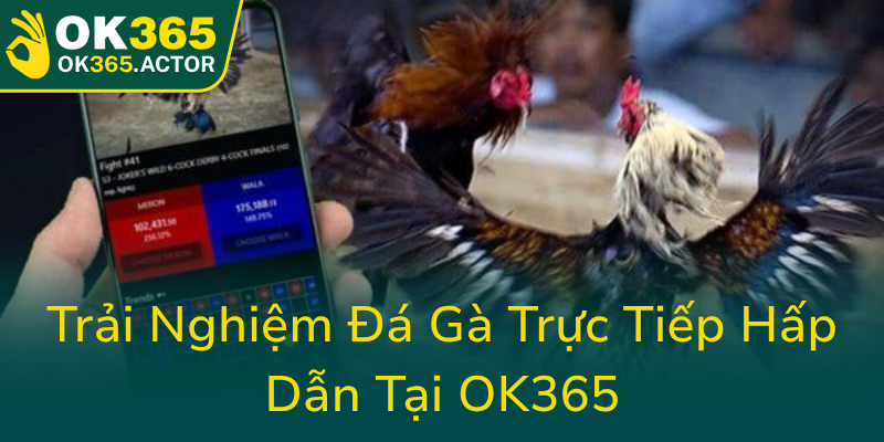 Trai Nghiem Da Ga Truc Tiep Hap Dan Tai Ok3650